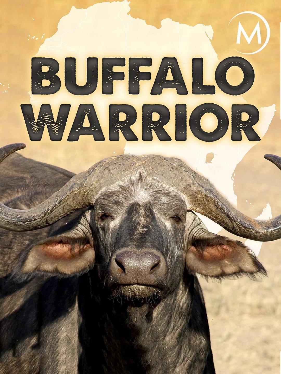 国家地理：水牛战士 National Geographic: Buffalo Warrior