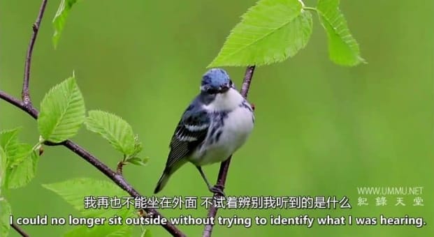 清空天空 Emptying The Skies