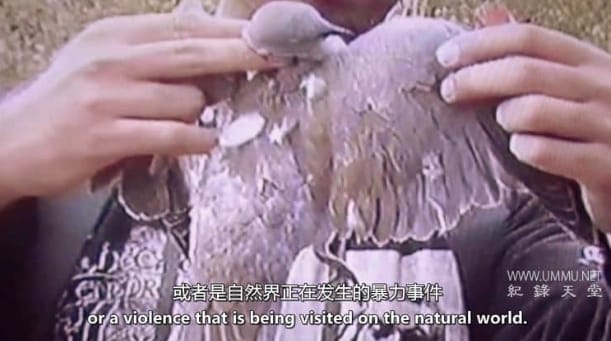 清空天空 Emptying The Skies