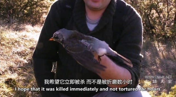 清空天空 Emptying The Skies