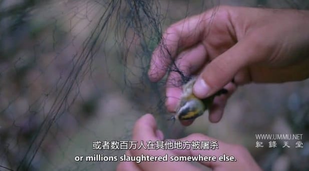 清空天空 Emptying The Skies