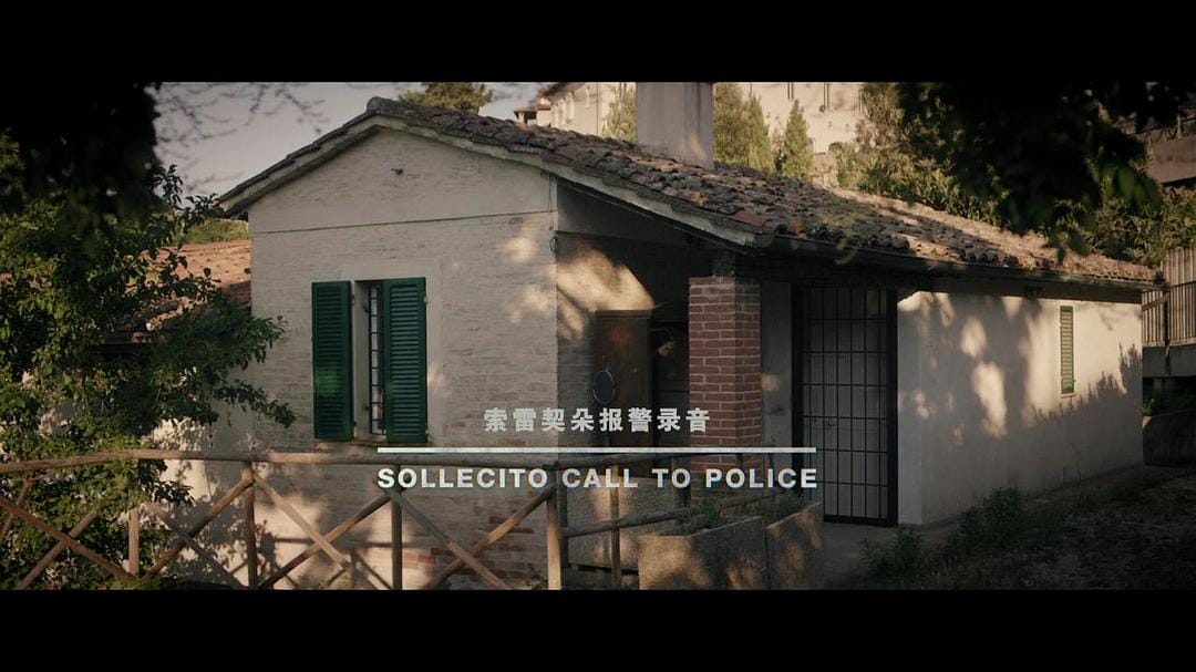 阿曼达·诺克斯 Amanda Knox