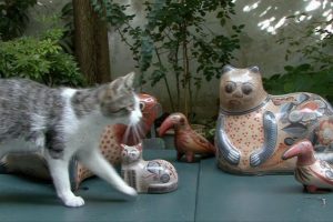 阿涅斯·瓦尔达在这里和那里 Agnès de ci de là Varda