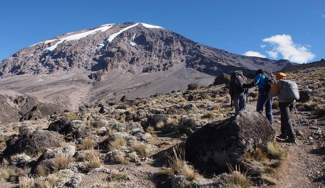 乞力马扎罗 Kilimanjaro: To the Roof of Africa