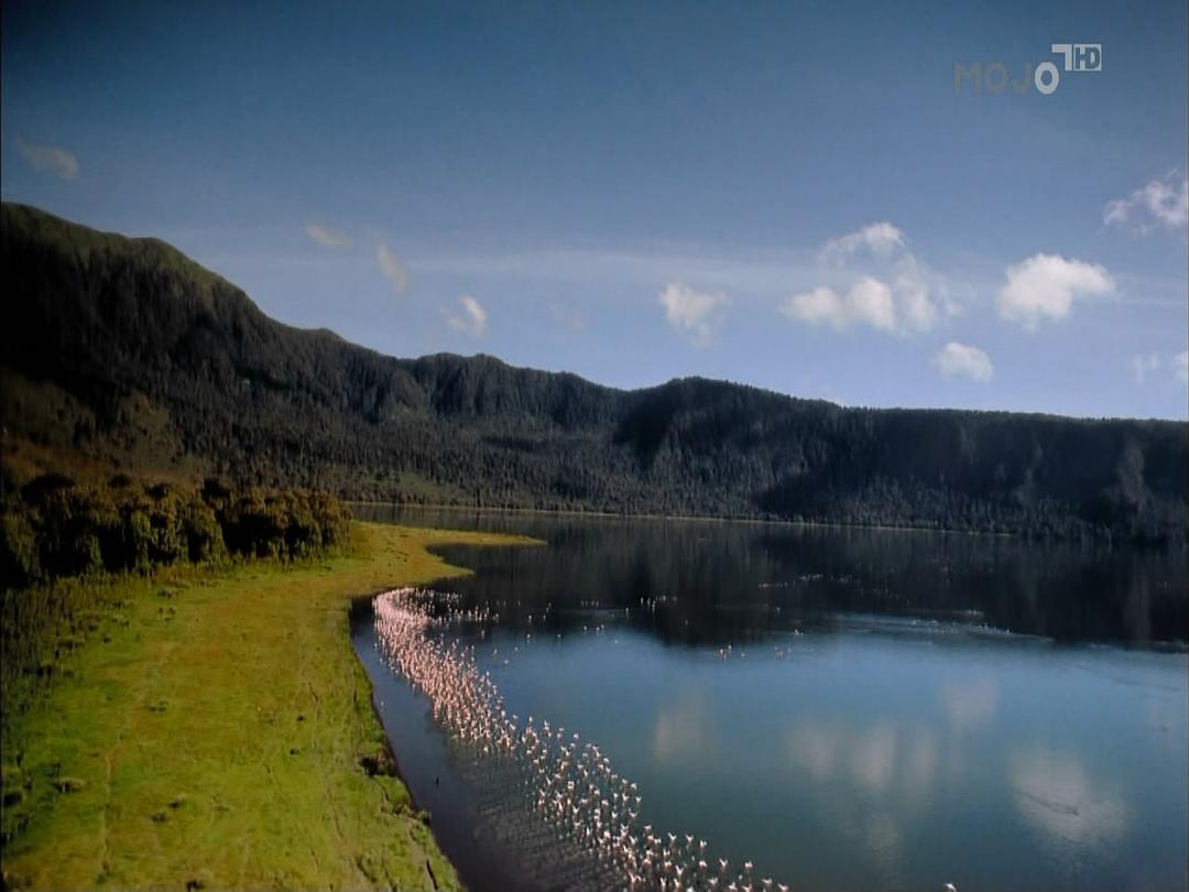 乞力马扎罗 Kilimanjaro: To the Roof of Africa