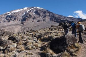 乞力马扎罗 Kilimanjaro: To the Roof of Africa