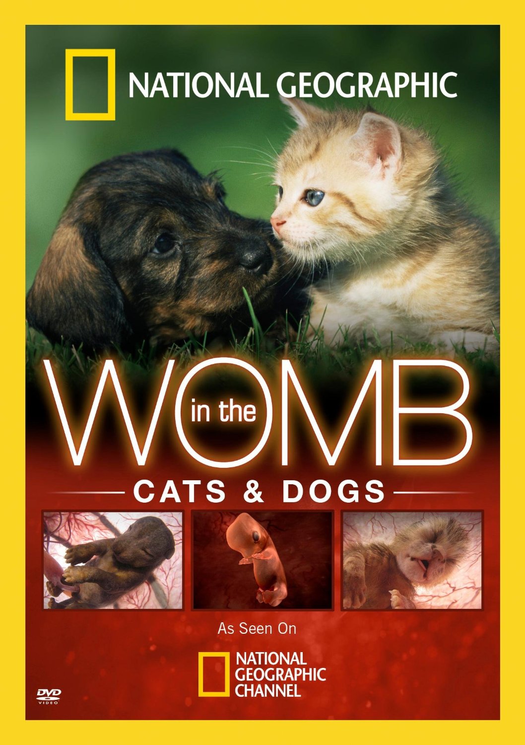 子宫日记：猫与犬 In the Womb: Cats and Dogs