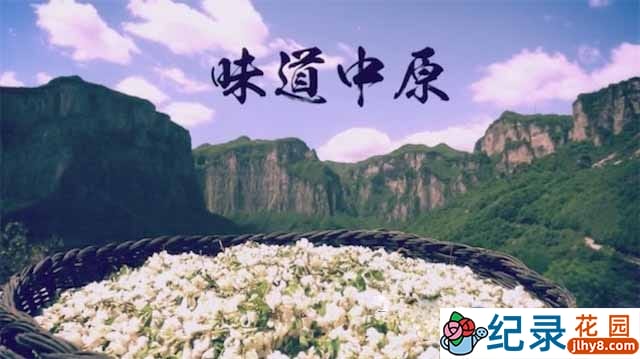 河南地方美食纪录片《味道中原》全40集 标清纪录片资源百度云盘下载