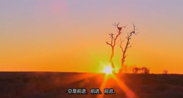 卡车游内陆 第4季 Outback Truckers