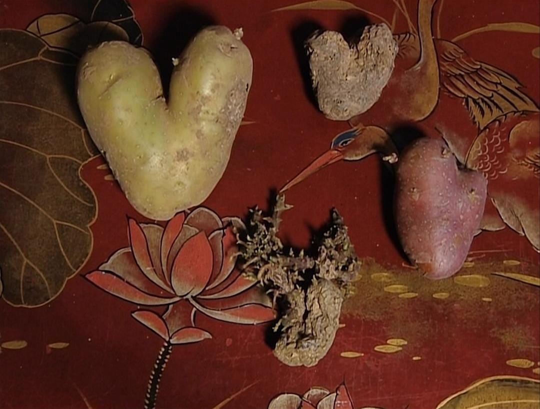 艾格妮捡风景：两年后 Les glaneurs et la glaneuse… deux ans après