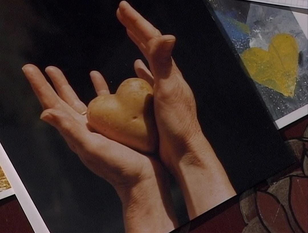 艾格妮捡风景：两年后 Les glaneurs et la glaneuse… deux ans après