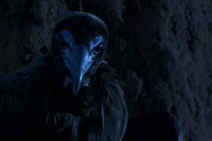 围困城堡 La Citadelle assiégée