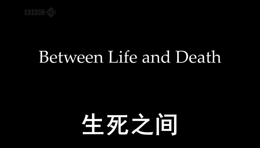 生死之间 Between Life and Death