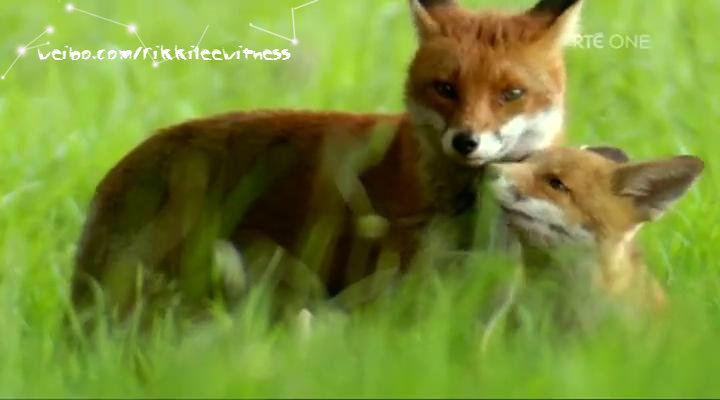 香农秘境 The Secret Life of the Shannon