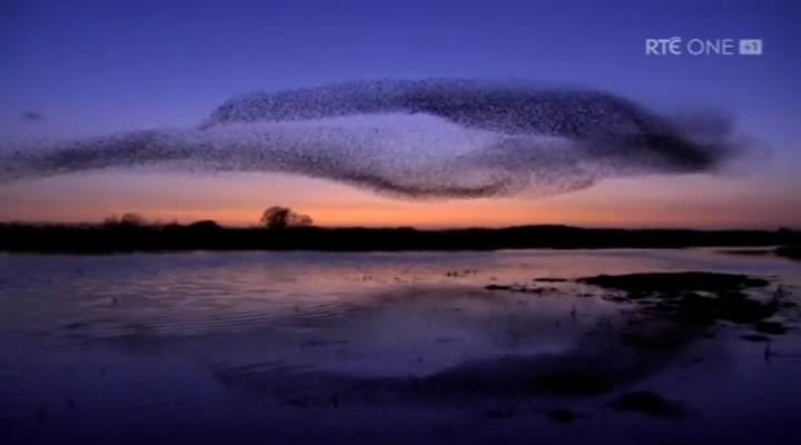 香农秘境 The Secret Life of the Shannon