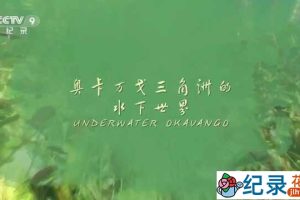 央视自然生态纪录片《奥卡万戈三角洲的水下世界 Underwater Okavango》全1集 TS/蓝光高清纪录片资源百度云盘下载