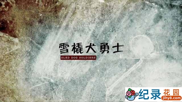 央视历史人文纪录片《雪橇犬勇士 Sled Dog Soldiers》全1集 TS/蓝光高清纪录片资源百度云盘下载