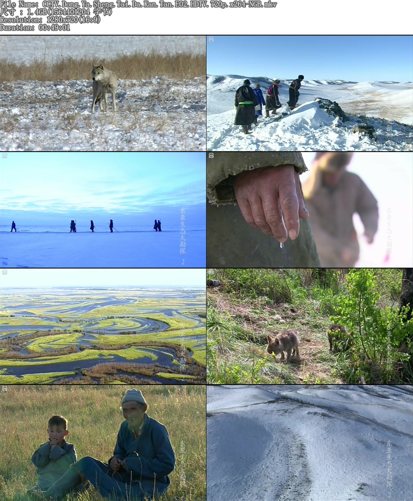 东亚生态大勘探：阿穆尔河 동아시아 생명대탐사 아무르
