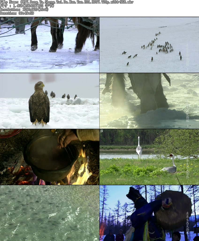 东亚生态大勘探：阿穆尔河 동아시아 생명대탐사 아무르