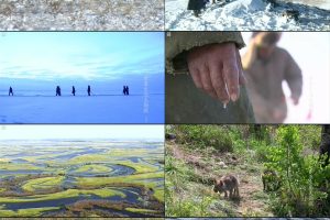 东亚生态大勘探：阿穆尔河 동아시아 생명대탐사 아무르