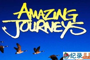 IMAX动物大迁徙纪录片《惊奇之旅 Amazing Journeys》全1集 720P/1080i高清纪录片资源百度云盘下载