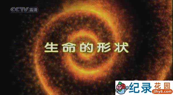 CCTV央视纪录片《生命的形状 Shape of Life》全8集720P/1080i高清纪录片百度云