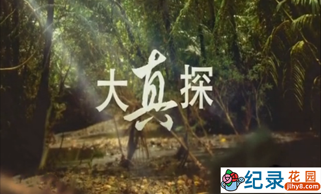 CCTV央视自然生态纪录片《大真探》全54集 720P/1080i高清纪录片百度云下载