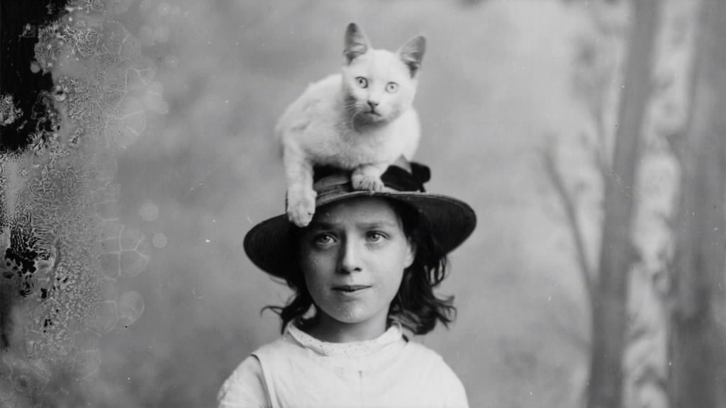 伦敦一览 A Picture of London