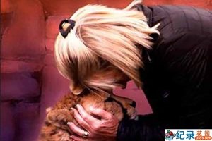 国家地理救治动物纪录片《动物园秘辛 Secrets of the Zoo》 第2季全12集 纪录片解说素材百度云盘下载 1080/MKV/32.5G