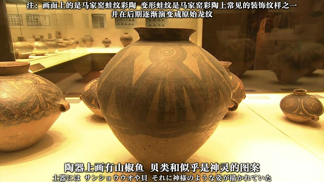 前往星辰诞生之海~中国黄河源之旅~ 星の生まれる海ヘ~中国黄河源流ヘの旅