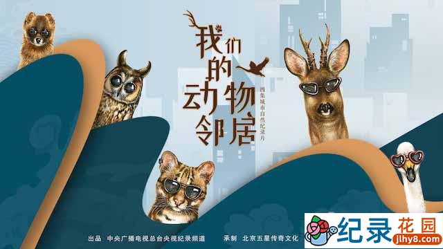 央视城市生态纪录片《我们的动物邻居》全4集 TS/蓝光高清纪录片资源百度云盘下载