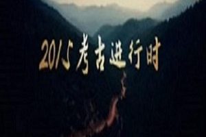 探索·发现：2015考古进行时 第一季