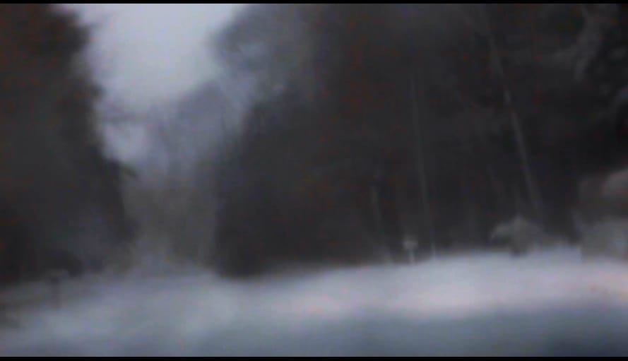 狗心 Heart of a Dog