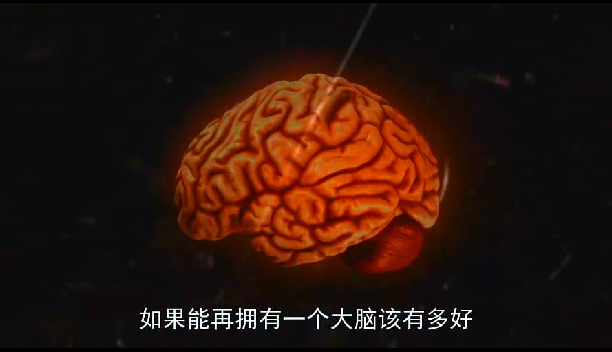 狗心 Heart of a Dog