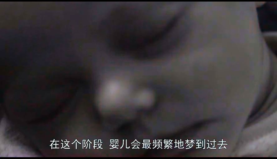 狗心 Heart of a Dog