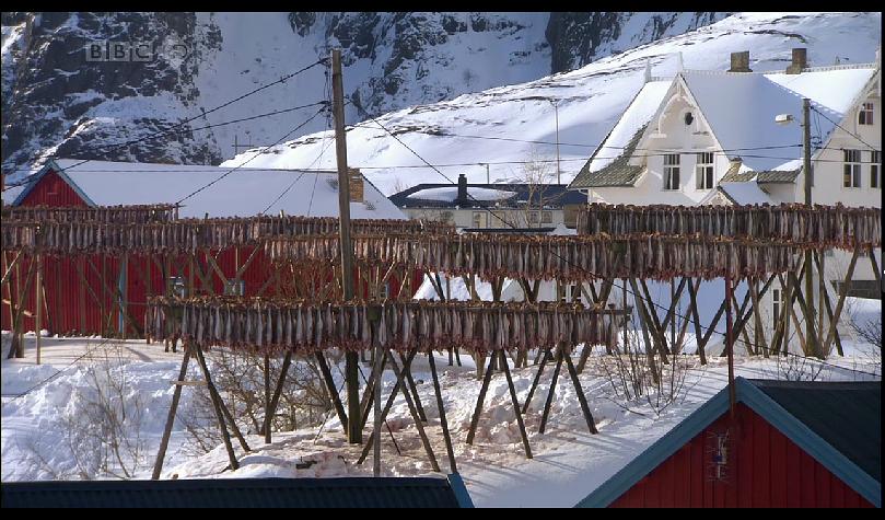 乔安娜·拉姆利的北极光之旅 Joanna Lumley in the Land of the Northern Lights