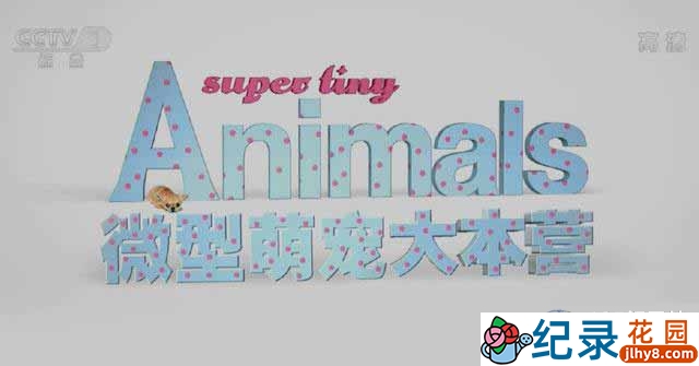 萌宠纪录片《微型萌宠大本营 Super Tiny Animals》全3集 720P/1080i高清纪录片百度云下载