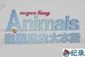 萌宠纪录片《微型萌宠大本营 Super Tiny Animals》全3集 720P/1080i高清纪录片百度云下载