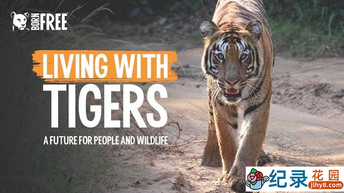 探索频道野生动物纪录片《虎啸非洲 老虎伊甸园 Living With Tigers》全1集中字 标清纪录片资源百度云盘下载