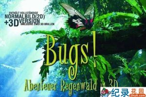 IMAX自然生态纪录片《热带雨林里的昆虫 Bugs A Rainforest Adventure》全1集 720P/1080i高清纪录片百度云