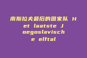 南斯拉夫最后的国家队 Het laatste Joegoslavische elftal