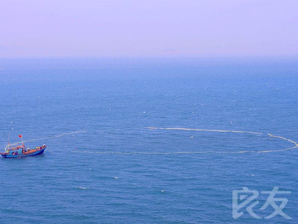 超鱼 슈퍼피쉬 – 끝없는 여정