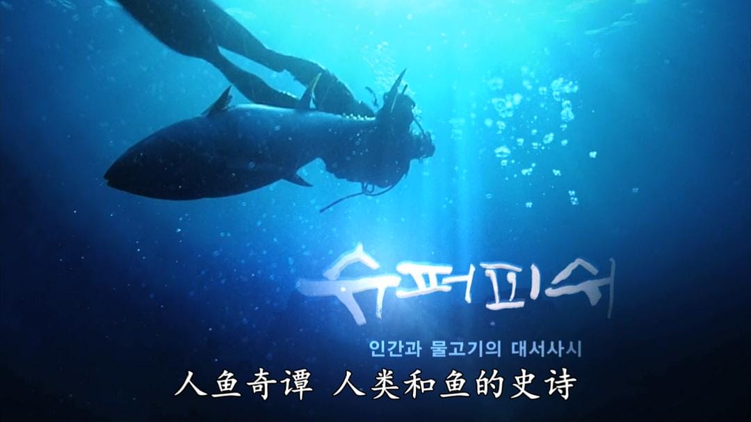 超鱼 슈퍼피쉬 – 끝없는 여정