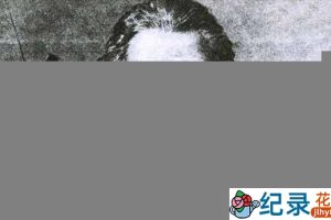 耶鲁大学公开课《塞万提斯的堂吉诃德 Cervantes’ Don Quixote》全24集中字 标清纪录片资源百度云盘下载