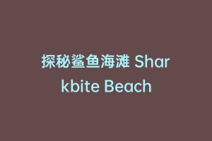 探秘鲨鱼海滩 Sharkbite Beach