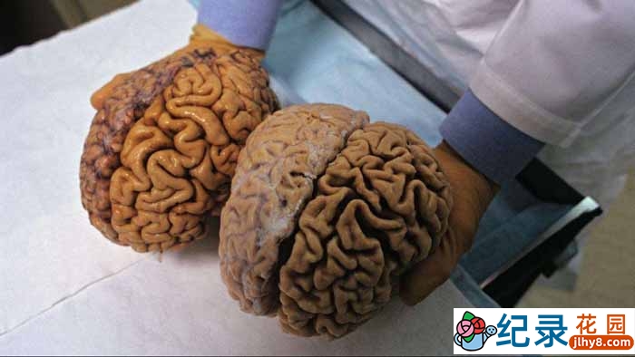 CCTV央视敦煌艺术纪录片《敦煌画派》全6集 720P/1080i高清纪录片百度云