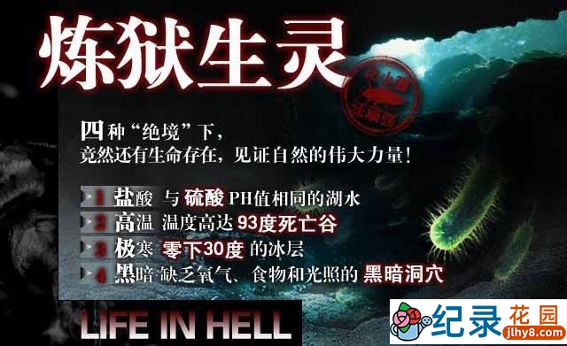 生物纪录片《地狱中的生命 炼狱生灵 Life In Hell》全4集 720P/1080i高清纪录片百度云下载