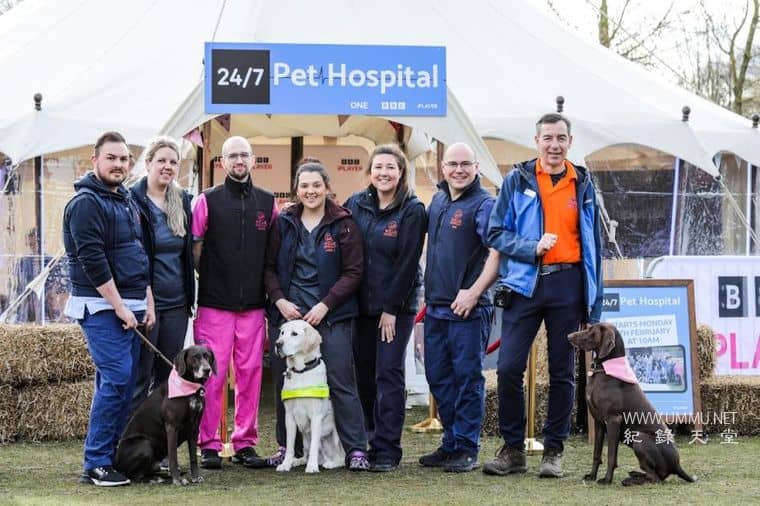 24小时宠物医院 24/7 Pet Hospital 2023