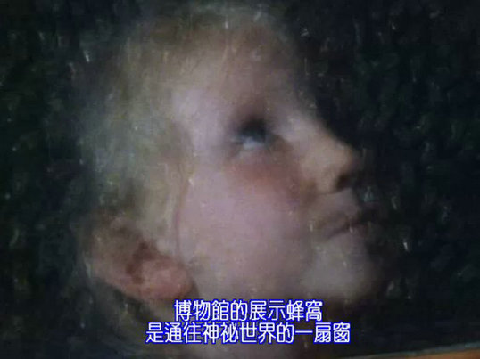 昆虫帝国 Alien Empire