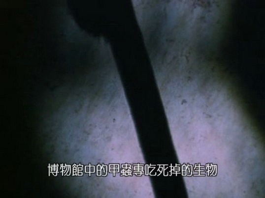 昆虫帝国 Alien Empire